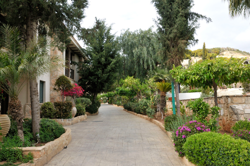 chypre69.jpg
